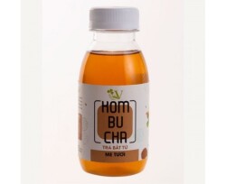 TRÀ KOMBUCHA LIGHT - 250ML_12