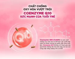 Viên uống chống lão hóa da DHC Coenzyme Q10 (γ-Cyclodextrin Complex) 30 ngày_13