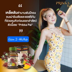 Viên uống thảo dược hỗ trợ giảm cân Prikka Pal Thailand_18